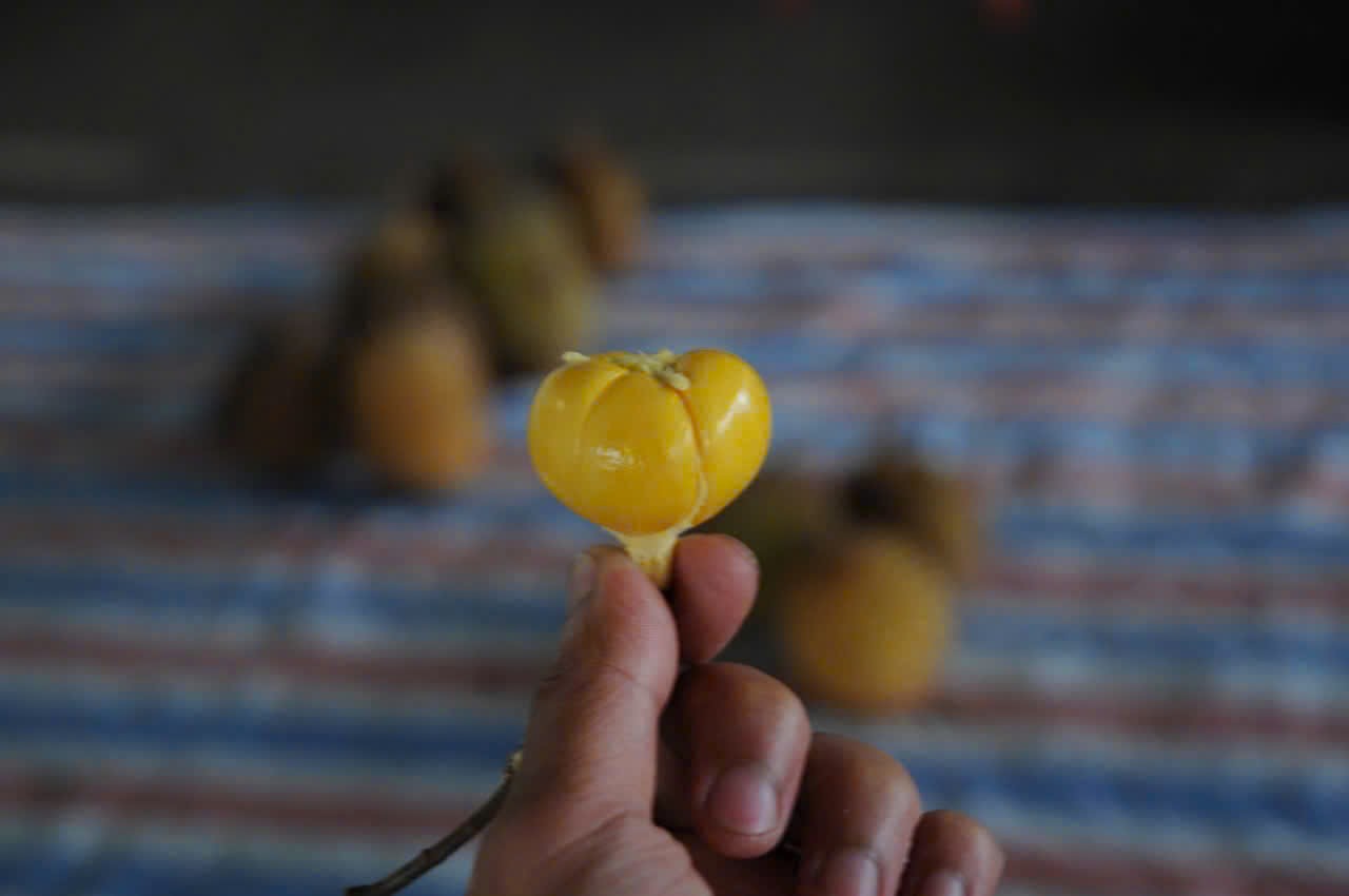 Ruột dâu da